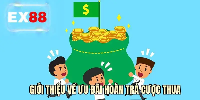Giới thiệu về ưu đãi hoàn trả cược thua